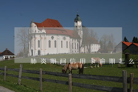 肺炎期间信用卡逾期怎么办