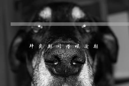 肺炎期间借呗逾期 肺炎期间借呗逾期