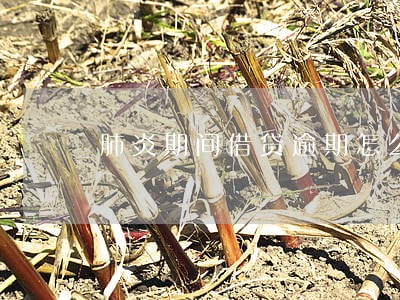 肺炎期间借贷逾期怎么办 肺炎期间借贷逾期怎么办