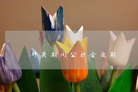 肺炎期间公积金逾期 肺炎期间公积金逾期