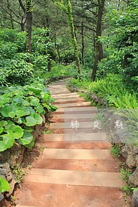 肺炎期间捷信逾期会怎么样 肺炎期间捷信逾期会怎么样