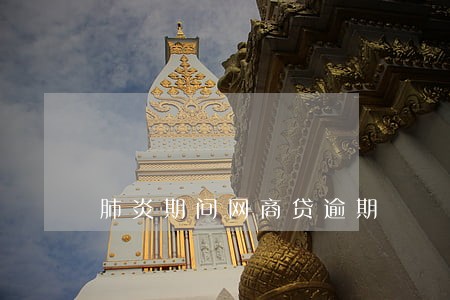 肺炎期间网商贷逾期 肺炎期间网商贷逾期