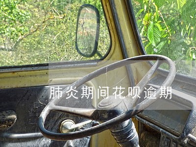 肺炎期间花呗逾期 肺炎期间花呗逾期