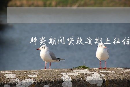 肺炎期间贷款逾期上征信吗 肺炎期间贷款逾期上征信吗