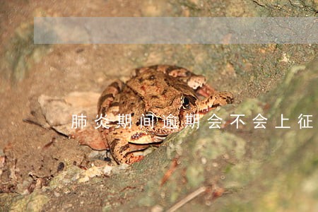 肺炎期间逾期会不会上征信 肺炎期间逾期会不会上征信