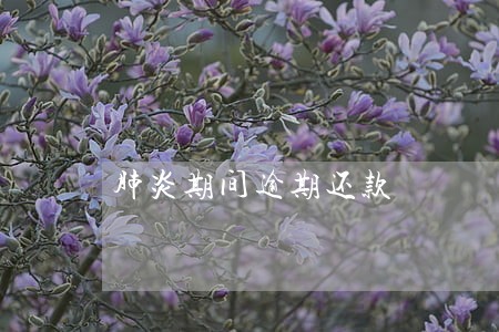 肺炎期间逾期还款 肺炎期间逾期还款