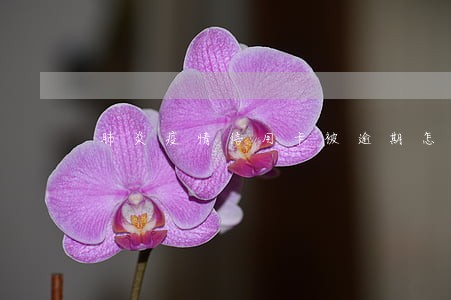 肺炎疫情信用卡被逾期怎么办 肺炎疫情信用卡被逾期怎么办