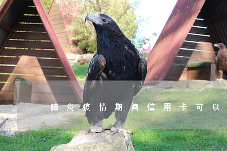 肺炎疫情期间信用卡可以逾期吗 肺炎疫情期间信用卡可以逾期吗