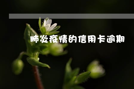 肺炎疫情的信用卡逾期 肺炎疫情的信用卡逾期