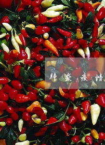 肺炎疫情车贷逾期