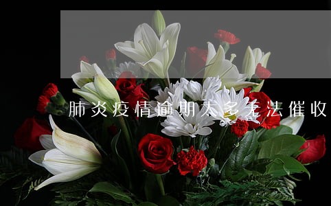 肺炎疫情逾期太多无法催收 肺炎疫情逾期太多无法催收