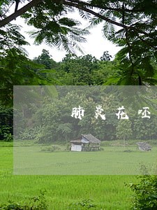 肺炎花呸可以逾期一个月还吗