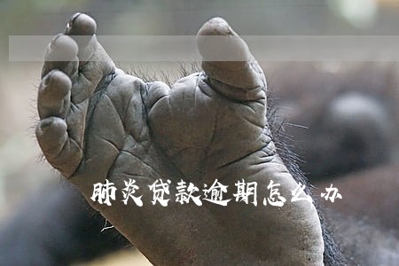 肺炎贷款逾期怎么办 肺炎贷款逾期怎么办