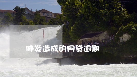 肺炎造成的网贷逾期