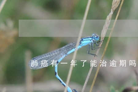 肺癌有一年了能治逾期吗 肺癌有一年了能治逾期吗