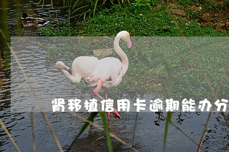 肾移植信用卡逾期能办分期吗 肾移植信用卡逾期能办分期吗