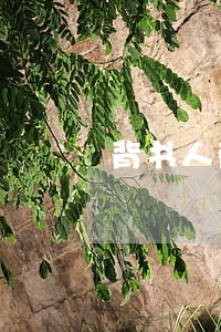 背书人商票逾期兑付通知样本 背书人商票逾期兑付通知样本