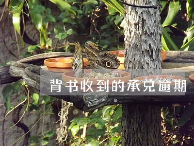 背书收到的承兑逾期