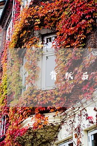 背叛后离婚协议书怎么写 背叛后离婚协议书怎么写