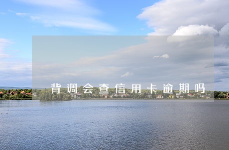 背调会查信用卡逾期吗