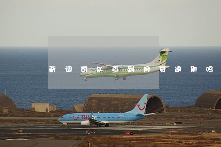 背调可以查到网贷逾期吗 背调可以查到网贷逾期吗