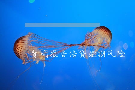 背调报告信贷逾期风险 背调报告信贷逾期风险