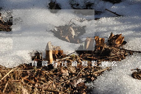 背调有过逾期影响么 背调有过逾期影响么