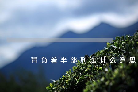 背负着半部刑法什么意思