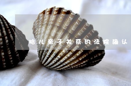 胎儿亲子关系的法院确认诉讼 胎儿亲子关系的法院确认诉讼