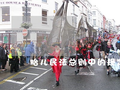胎儿民法总则中的规定有哪些