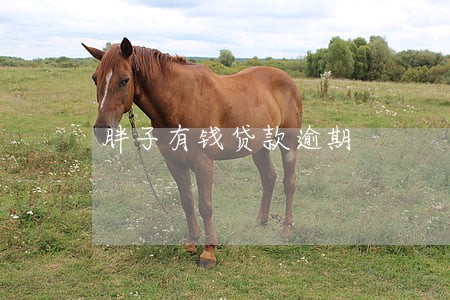 胖子有钱贷款逾期 胖子有钱贷款逾期