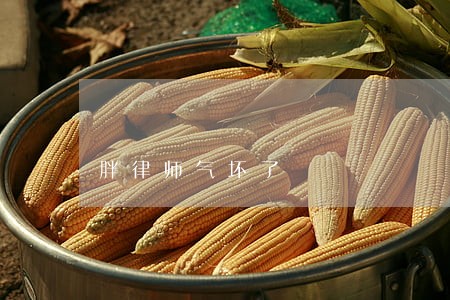 胖律师气坏了 胖律师气坏了