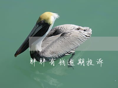 胖胖有钱逾期投诉 胖胖有钱逾期投诉