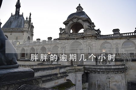 胖胖的逾期几个小时 胖胖的逾期几个小时