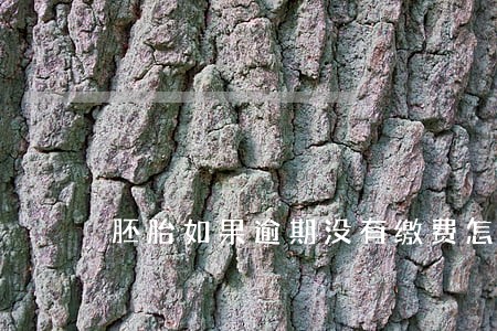 胚胎如果逾期没有缴费怎么办 胚胎如果逾期没有缴费怎么办