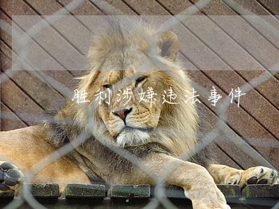 胜利涉嫌违法事件 胜利涉嫌违法事件