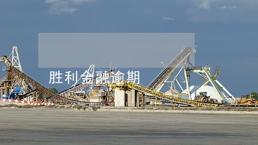 胜利金融逾期 胜利金融逾期
