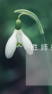胜师律师团队