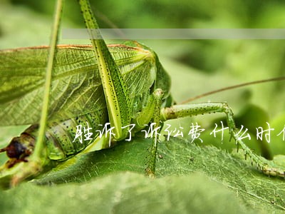 胜诉了诉讼费什么时候可以退 胜诉了诉讼费什么时候可以退