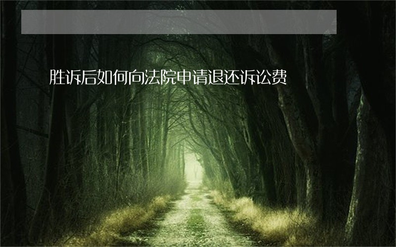 胜诉后如何向法院申请退还诉讼费 胜诉后如何向法院申请退还诉讼费
