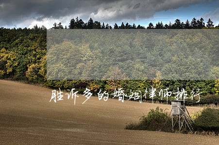 胜诉多的婚姻律师排行 胜诉多的婚姻律师排行