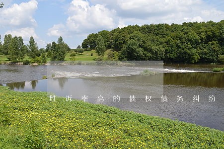 胜诉率高的债权债务纠纷律师费 胜诉率高的债权债务纠纷律师费