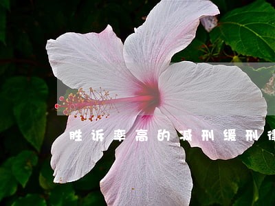 胜诉率高的减刑缓刑律师 胜诉率高的减刑缓刑律师