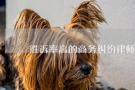 胜诉率高的商务纠纷律师免费咨询 胜诉率高的商务纠纷律师免费咨询