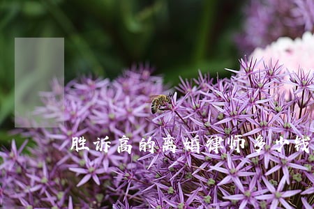 胜诉高的离婚律师多少钱实力雄厚 胜诉高的离婚律师多少钱实力雄厚