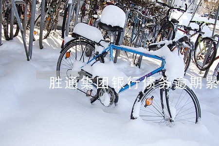 胜通集团银行债务逾期累计 胜通集团银行债务逾期累计