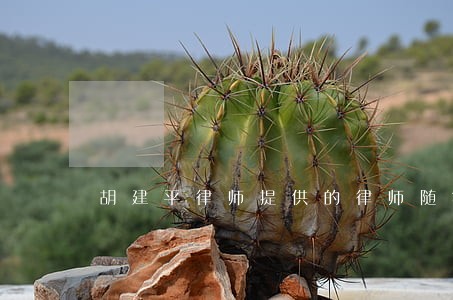 胡建平律师提供的律师随笔 胡建平律师提供的律师随笔