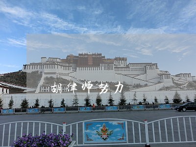 胡律师努力 胡律师努力
