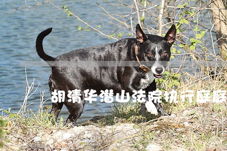 胡清华潜山法院执行庭庭长 胡清华潜山法院执行庭庭长