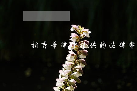 胡秀华律师提供的法律常识 胡秀华律师提供的法律常识